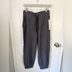 Lululemon Ready to Rulu Crop Jogger NWT